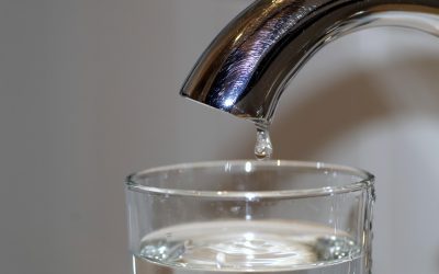 4 Simple Ways to Save Water (and Save Money)